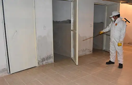 Kocasinan'da kış aylarında da sivrisinek ve karasinek yok edilecek