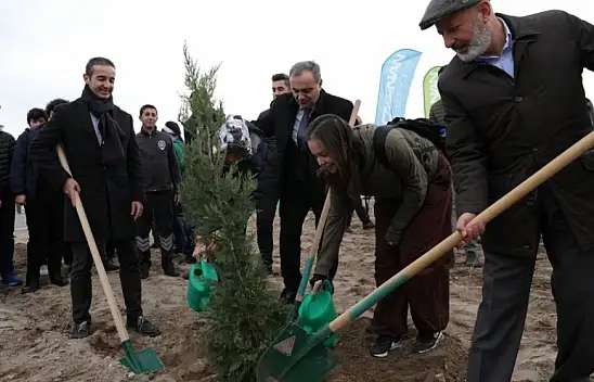 Kocasinan'da son 9 yılda bakın ağaç dikildi?