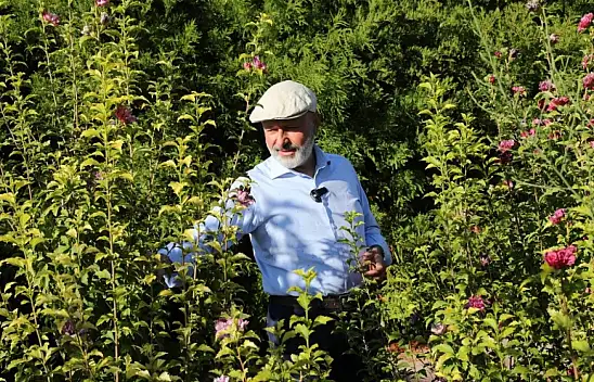 Kocasinan'ın Yeşil Alanları İkiye Katlandı!