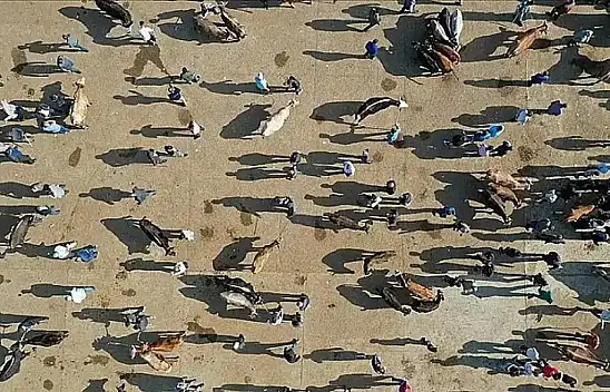 Komşu illerden Kayseri'ye talep yağıyor: Kriz Kayseri için fırsata dönüştü!