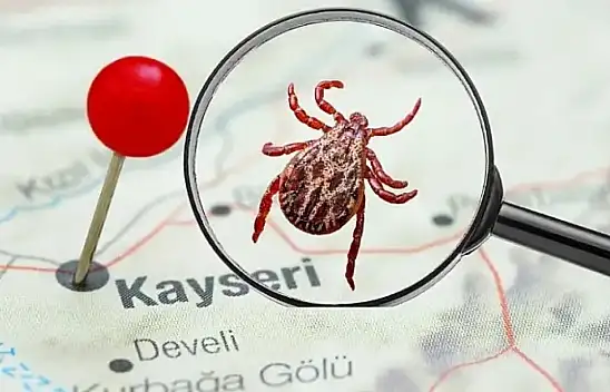 Komşuda 6. ölüm tedirgin etti: Kayseri'de kene en çok nerelerde var?