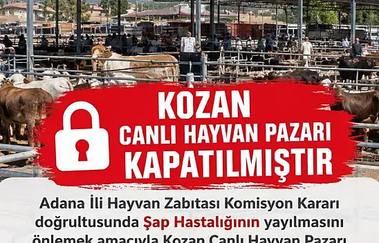 Canlı hayvan pazarı şap hastalığı nedeniyle kapatıldı!