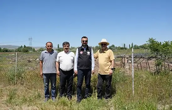 Kültepe'de yeni sezon hareketliliği! Tarihin izinde çalışmalar hız kazandı
