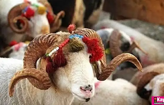 Kurban Bayramı ne zaman?