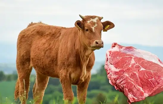 Kurban öncesi Kayseri'de karkas kesim fiyatları zirvede!