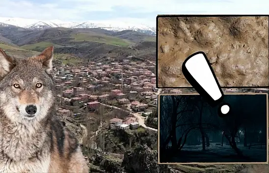 Kurt sesleri geliyor, sokak lambaları yok: Kayseri'nin o mahallesi çözüm bekliyor!