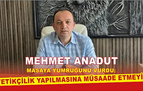 Mehmet Anadut Kayserispor için masaya yumruğunu vurdu: Tetikçilik yapılmasına müsaade etmeyiz