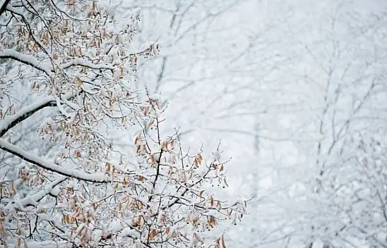 Meteorolojiden uyarı - Kayseri'de kar bekleniyor!