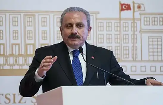 Milletvekili seçilen isimler Bakanlık görevlerine devam edebilir mi?