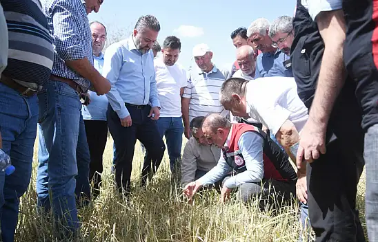 Müdür ve ekibi bakın neyi inceledi?