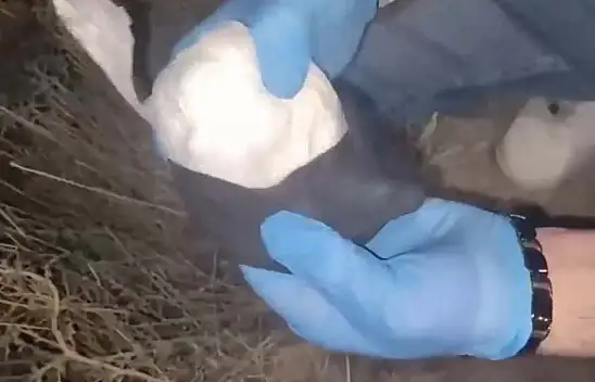 Narkotikten büyük başarı!