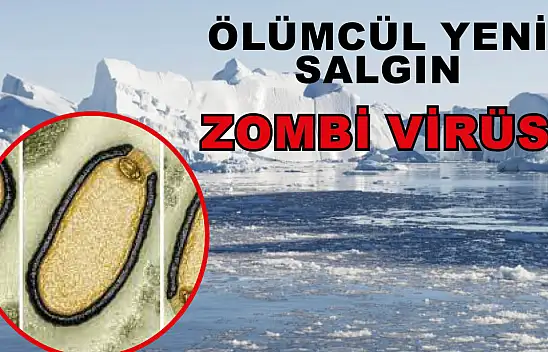 Ölümcül Yeni  Salgın – Zombi Virüsü