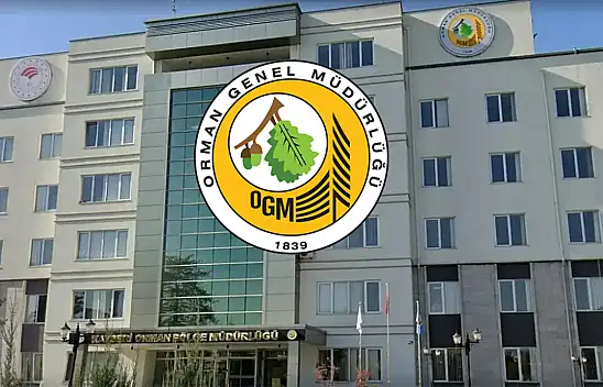 Orman Genel Müdürlüğü Kayseri dahil farklı şehirlerde 262 daimi işçi alımı yapacak!