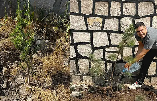 Serhat Hasbenlioğlu'ndan anlamlı bir hediye daha: 10 fidan daha dikti