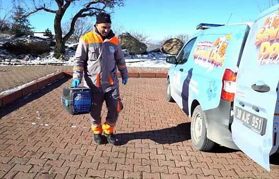 Sevimli Dost Ambulansı Sokak Hayvanlarının Yardımına Koşuyor