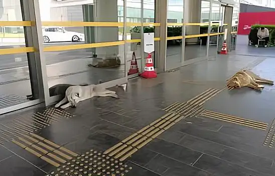 Şikâyetler tedbir getirdi: Kayseri'de de yasaklandı!