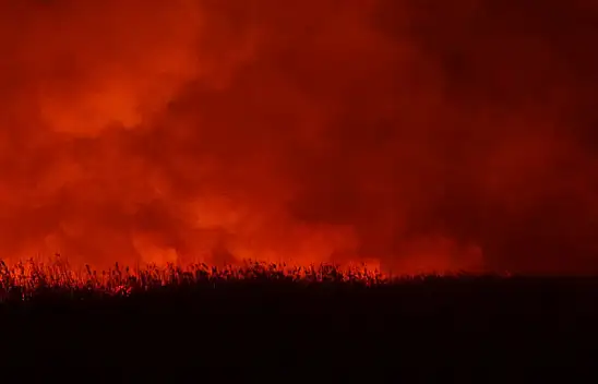 Sultan Sazlığı'nda çıkan yangın ile ilgili resmi açıklama geldi!