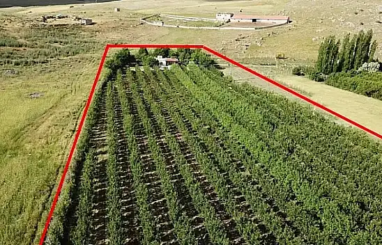 Tehlike çanları çalıyor!