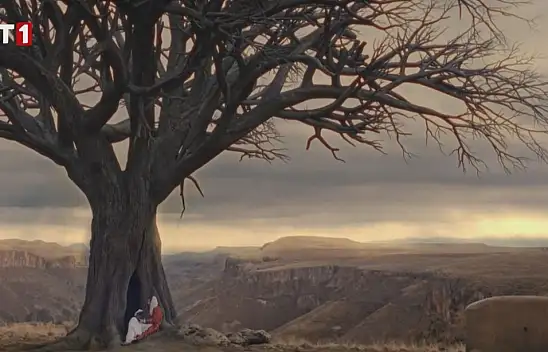 TRT'nin 'Kara Ağaç' Dizisinin Başlayacağı Tarih Belli Oldu!