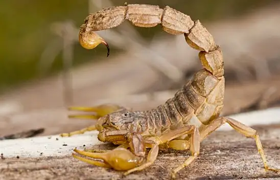 Türkiye 23 Mayıs tarihini konuşuyor: Bugün ne olacak?