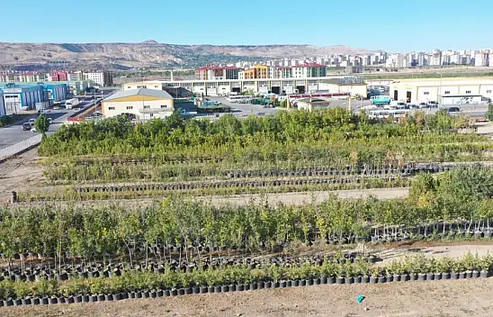 Türkiye'nin en büyüğü Kocasinan'da!