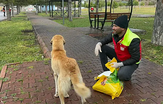 Türkuaz Arama Kurtarma'dan Hayvan Dostlarına Kış Yardımı