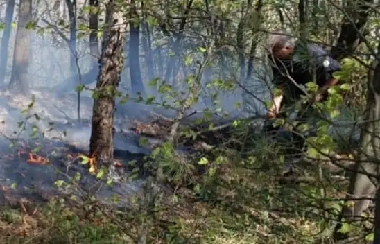 Uludağ'ın Eteklerinde Yangın Çıktı!