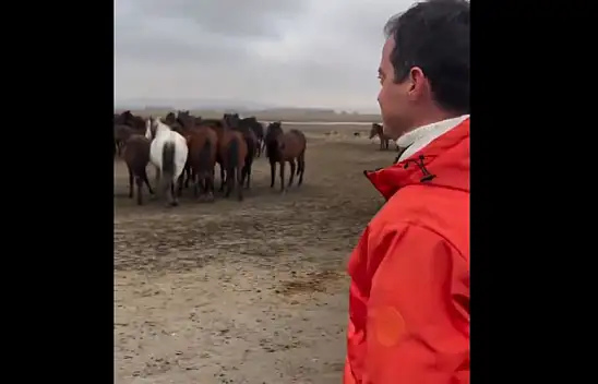 Ünlü oyuncunun Hürmetçi ziyaretinde dikkat çeken yılkı atı yorumu!