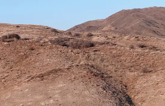 Usta tırmanıcılar böyle görüntülendi!