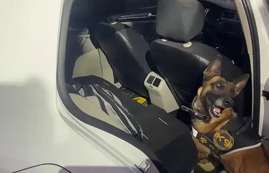 Uyuşturucu tacirlerine Kayseri'de geçit yok!