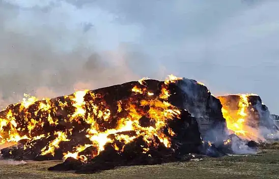 Yıldırım faciası! 500 ton saman balyası küle döndü