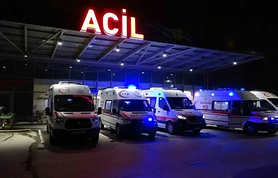 Çobanı kurtarmak isterken kendi canlarından oldular