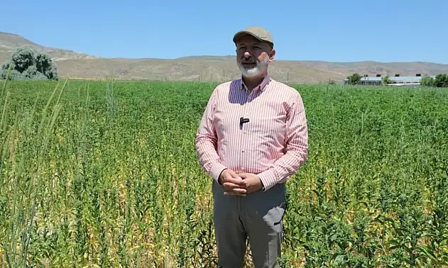 Kocasinan'da tarımsal üretim sosyal desteğe dönüşüyor!