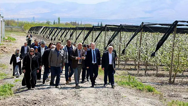 'Ana Arı Yetiştiriciliği Kursu' tamamlandı: Önemli başarı