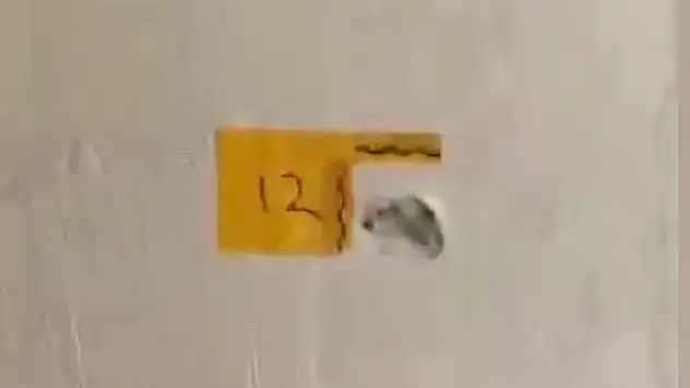 Adana'da 'Polisiz' diyerek eve giren maskeli kişiler anne ile oğlunu vurdu!