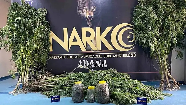 'Satmıyorum kullanıyorum' diyen uyuşturucu taciri tutuklandı