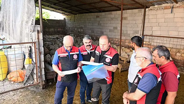 100 koyun hibe edilmişti: Kayseri'deki o işletmeyi İl Müdürü ziyaret etti!