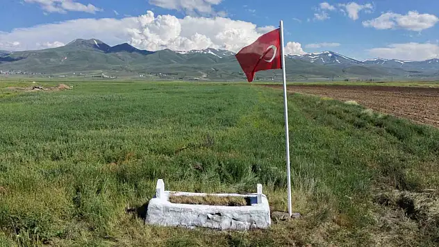 149 yıldır sessizce bekliyordu! 'Garip Mezar' için anlamlı çalışma