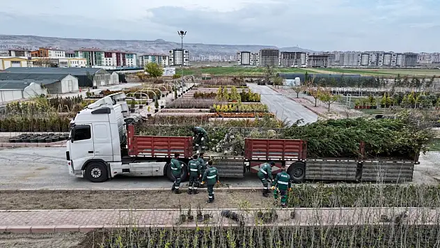 2026 Ağaçlandırma rekoru yolda: Kayseri yeşilin başkenti olacak!