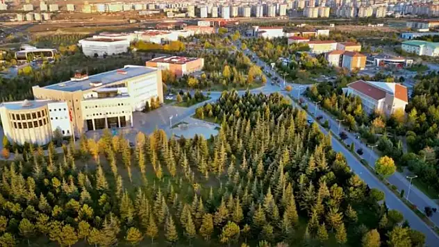 60 yıllık çam ormanı yok mu ediliyor? Üniversiteden çarpıcı açıklama!