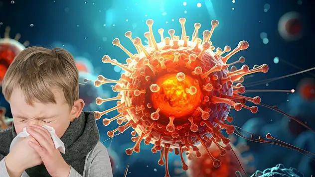 7 yaşındaki çocuk Bocavirüs nedeniyle mi öldü?  - Bocavirüs nedir?