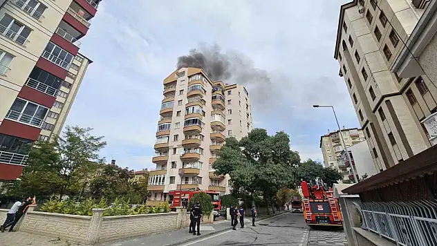 250 kovanla başladığı arıcılıkta bine ulaştı