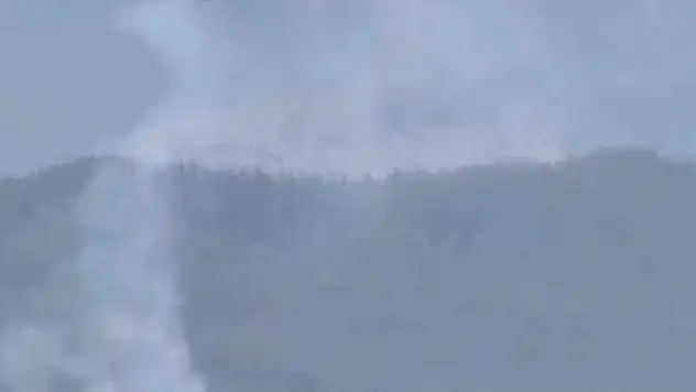 Aladağ'da orman yangını: Çalışmalar sürüyor!