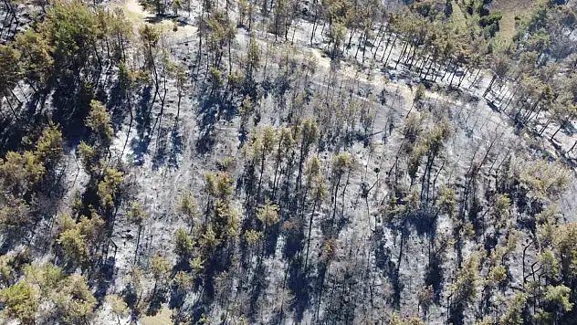 Adana'da acı bilanço havadan görüntülendi!