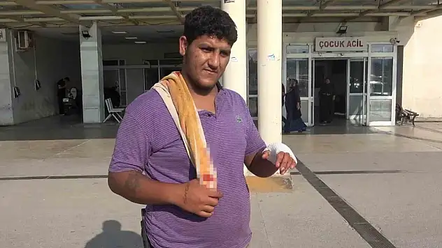 Adana'da 194 kasap hastanelik oldu