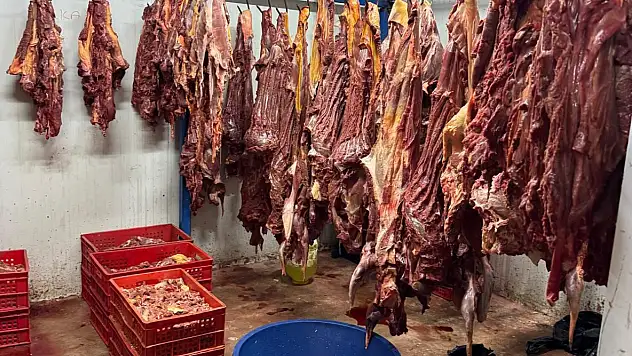 Adana'da 3 ton at eti yakalandı!