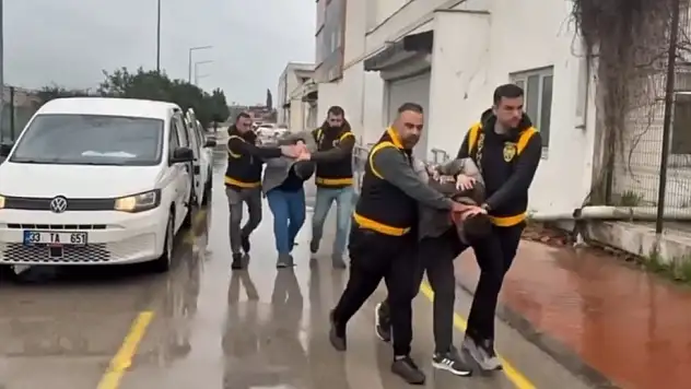 Adana'da atlara eziyet iddiası: Yeni gelişme…