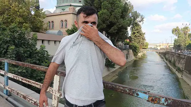 Adana'da bakımsız sulama kanalı isyan ettirdi