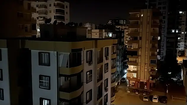 Adana'da cırcır böceği sesleri gece uykularını böldü