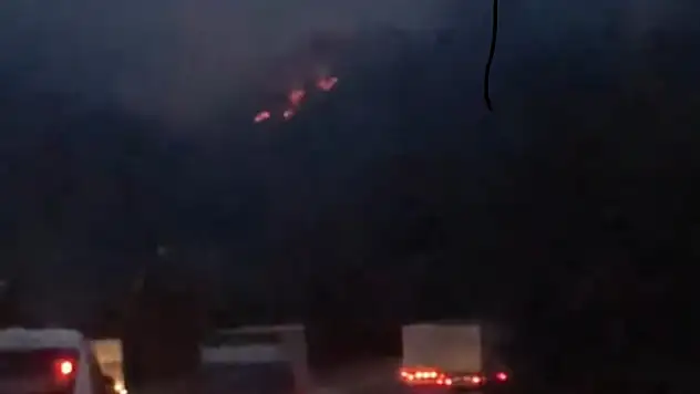 Adana'da iki ayrı noktada orman yangını
